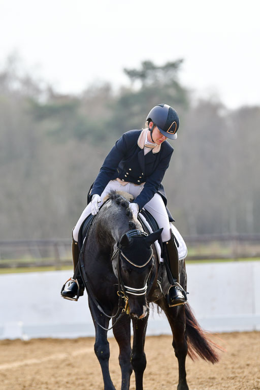 Reitsportzentrum Bremervörde | 10421 Prix St Georges_177 