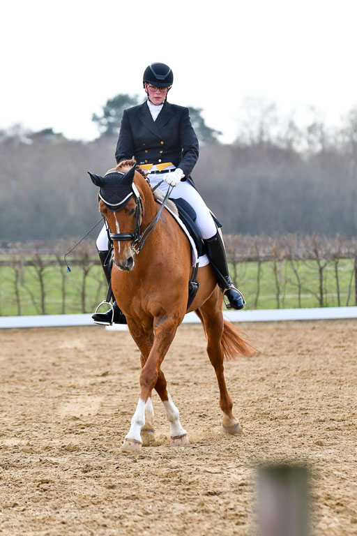 Reitsportzentrum Bremervörde | 10421 Prix St Georges_180 