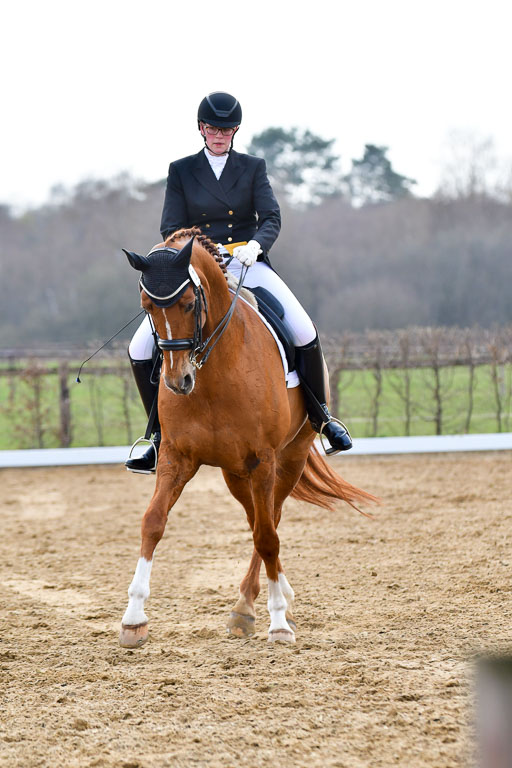 Reitsportzentrum Bremervörde | 10421 Prix St Georges_181 