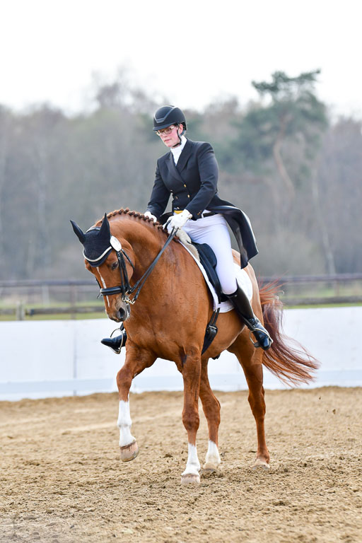 Reitsportzentrum Bremervörde | 10421 Prix St Georges_182 