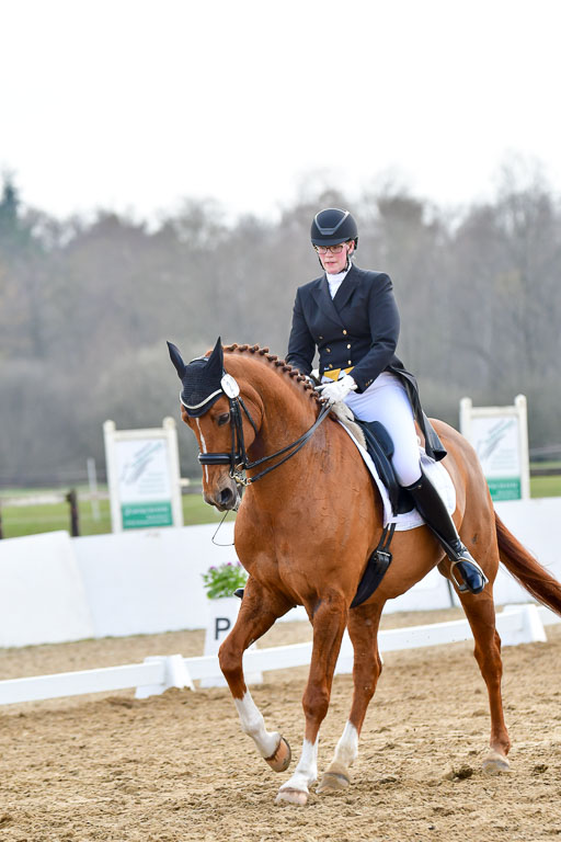 Reitsportzentrum Bremervörde | 10421 Prix St Georges_183 