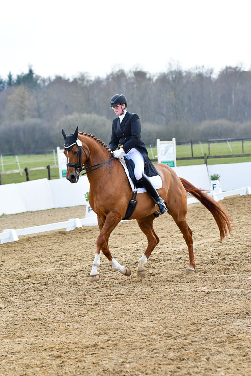 Reitsportzentrum Bremervörde | 10421 Prix St Georges_184 