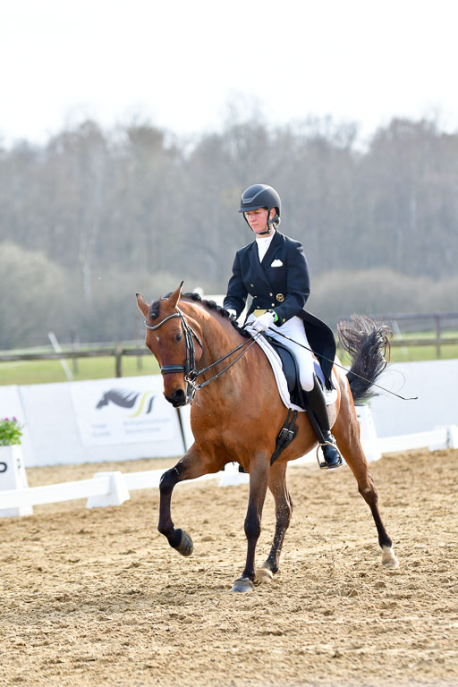 Reitsportzentrum Bremervörde | 10421 Prix St Georges_185 