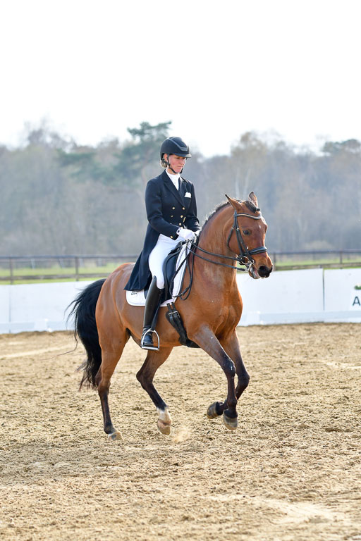 Reitsportzentrum Bremervörde | 10421 Prix St Georges_187 