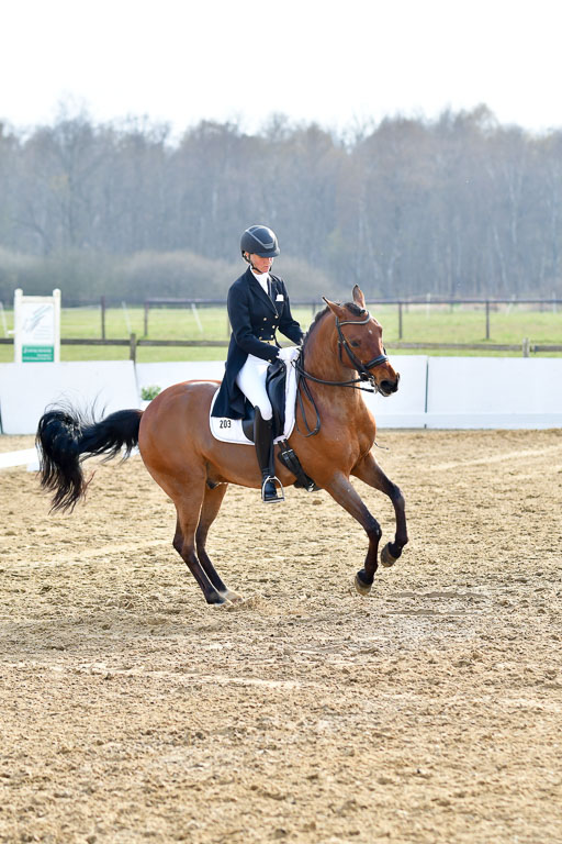 Reitsportzentrum Bremervörde | 10421 Prix St Georges_188 