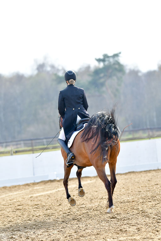 Reitsportzentrum Bremervörde | 10421 Prix St Georges_189 