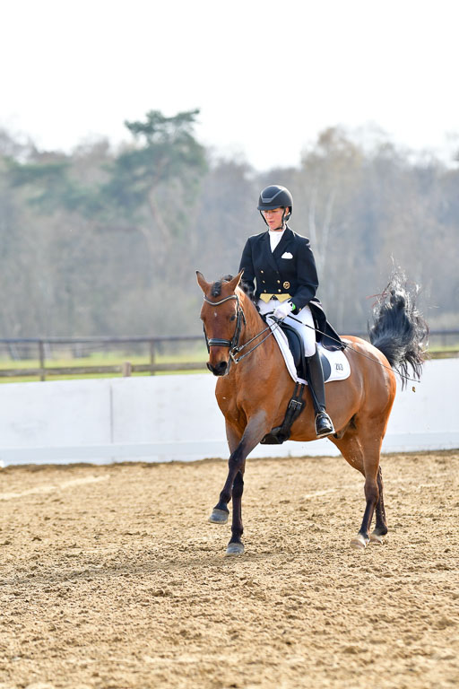 Reitsportzentrum Bremervörde | 10421 Prix St Georges_190 