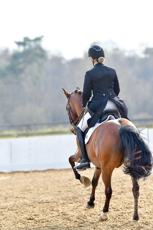 Reitsportzentrum Bremervörde | 10421 Prix St Georges_191 