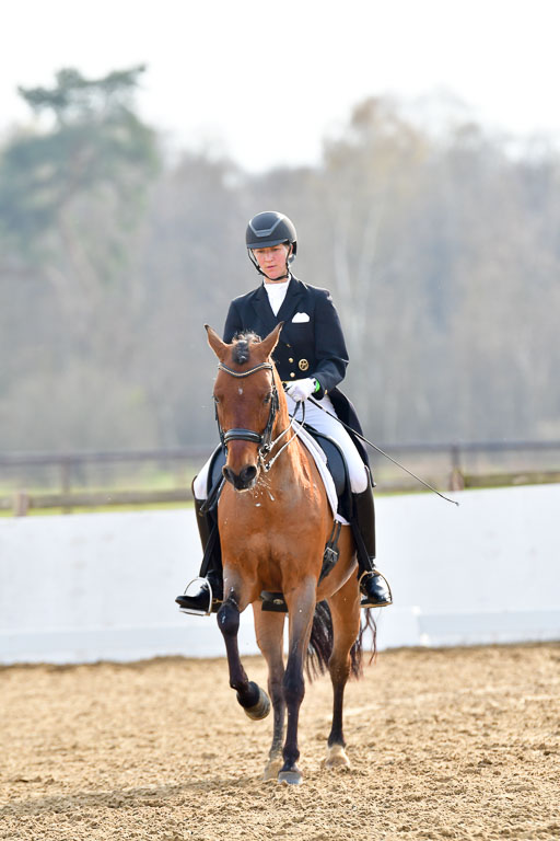 Reitsportzentrum Bremervörde | 10421 Prix St Georges_192 