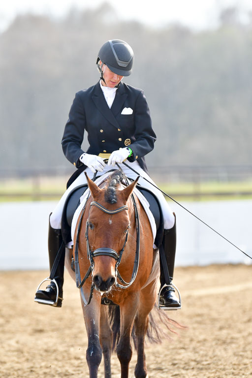 Reitsportzentrum Bremervörde | 10421 Prix St Georges_195 