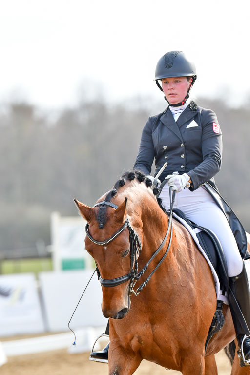 Reitsportzentrum Bremervörde | 10421 Prix St Georges_196 