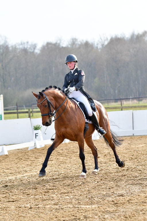 Reitsportzentrum Bremervörde | 10421 Prix St Georges_199 