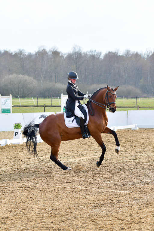 Reitsportzentrum Bremervörde | 10421 Prix St Georges_203 