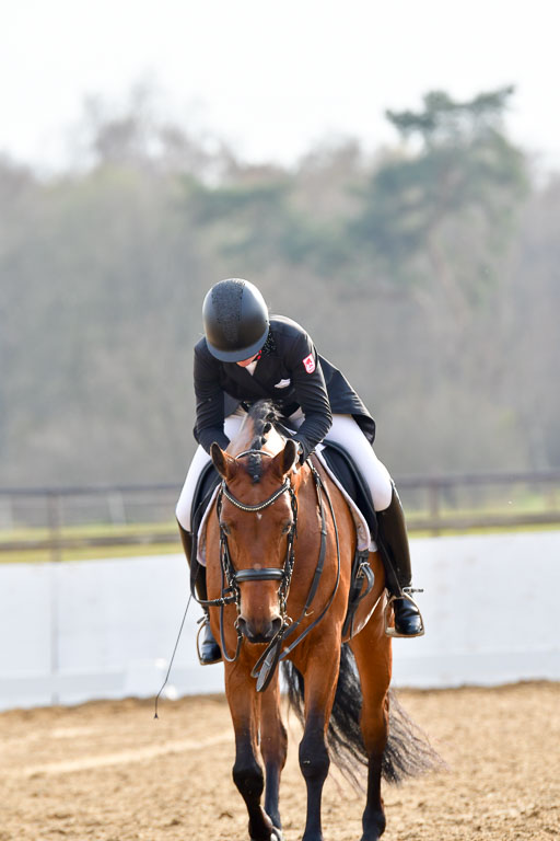 Reitsportzentrum Bremervörde | 10421 Prix St Georges_212 