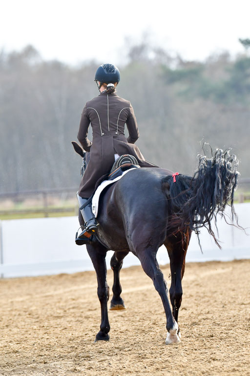 Reitsportzentrum Bremervörde | 10421 Prix St Georges_223 