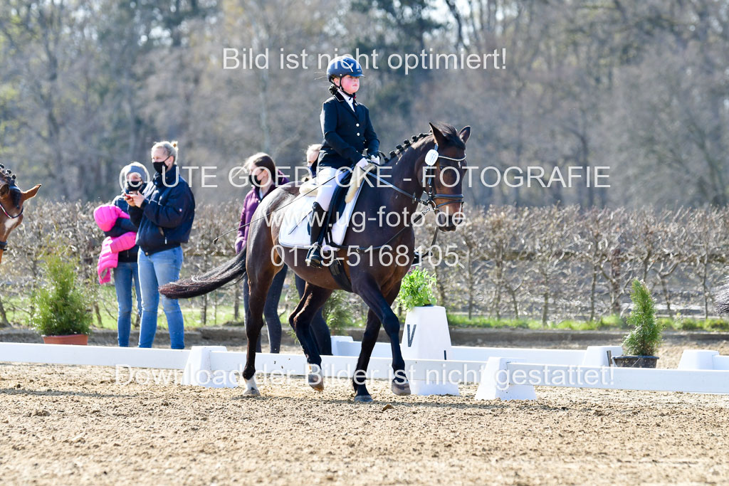 Reitsportzentrum Bremervörde | Reiter WB 1 Abt _027 