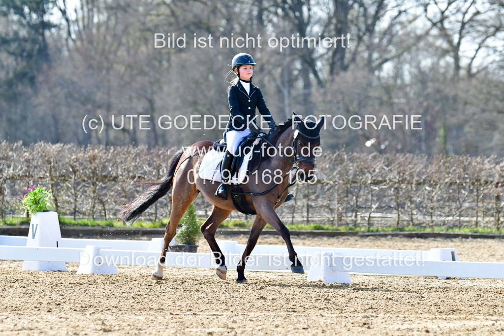 Reitsportzentrum Bremervörde | Reiter WB 1 Abt _034 