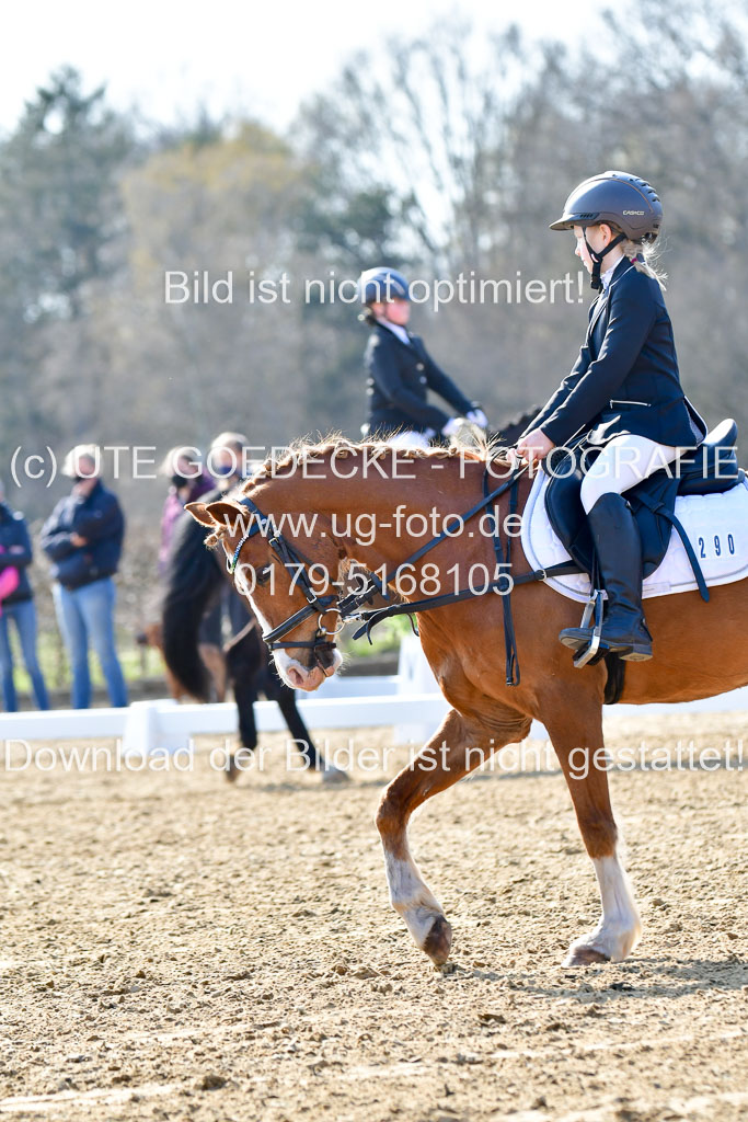 Reitsportzentrum Bremervörde | Reiter WB 1 Abt _037 