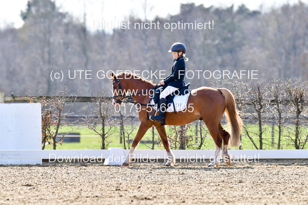 Reitsportzentrum Bremervörde | Reiter WB 1 Abt _053 