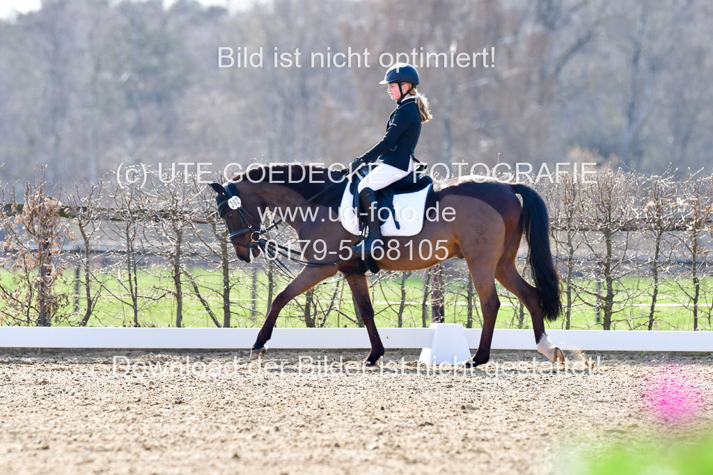 Reitsportzentrum Bremervörde | Reiter WB 1 Abt _054 