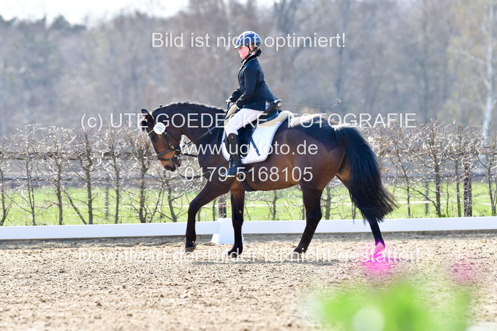 Reitsportzentrum Bremervörde | Reiter WB 1 Abt _057