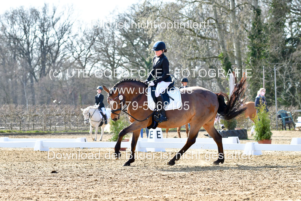 Reitsportzentrum Bremervörde | Reiter WB 1 Abt _059 