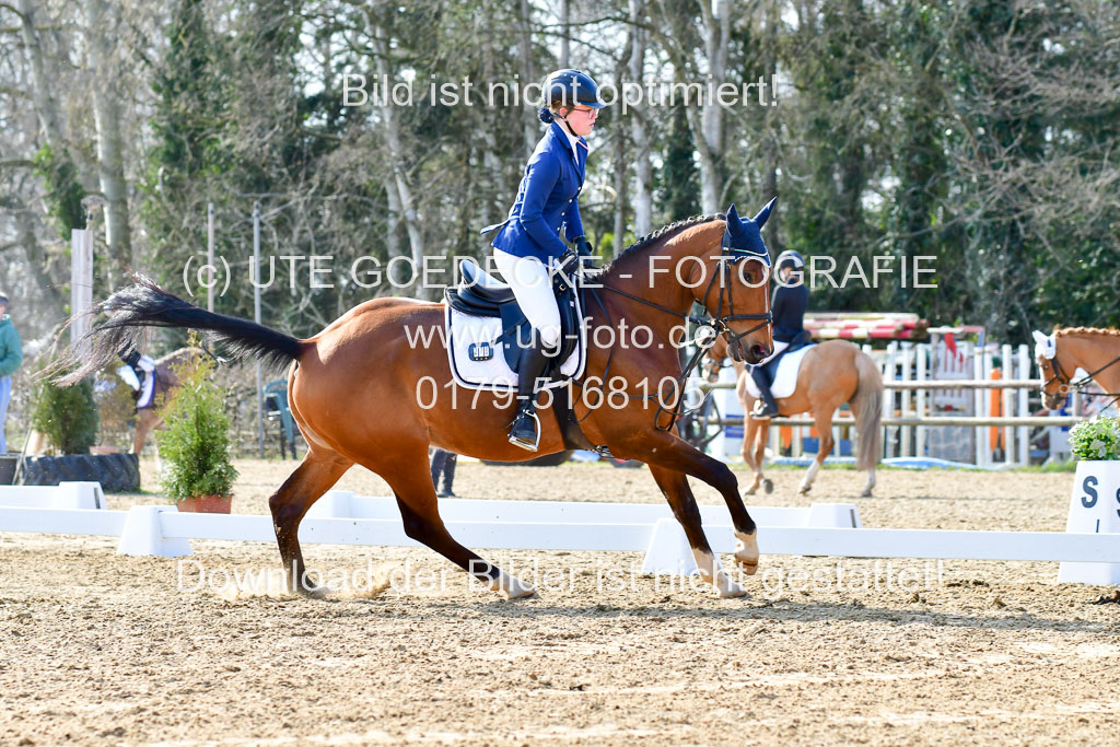 Reitsportzentrum Bremervörde | Reiter WB 1 Abt _073 