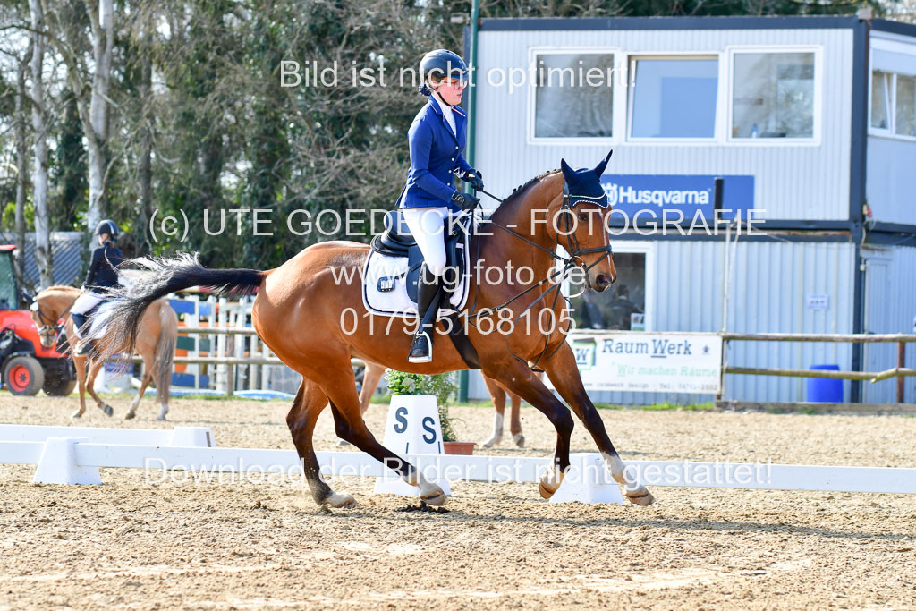 Reitsportzentrum Bremervörde | Reiter WB 1 Abt _074 