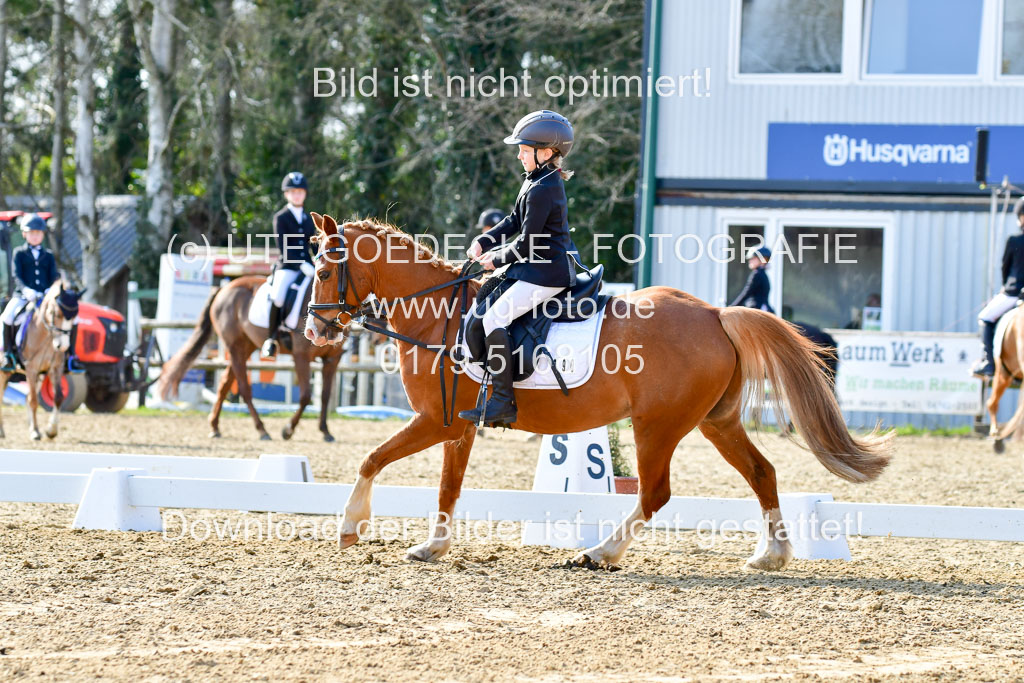 Reitsportzentrum Bremervörde | Reiter WB 1 Abt _083 