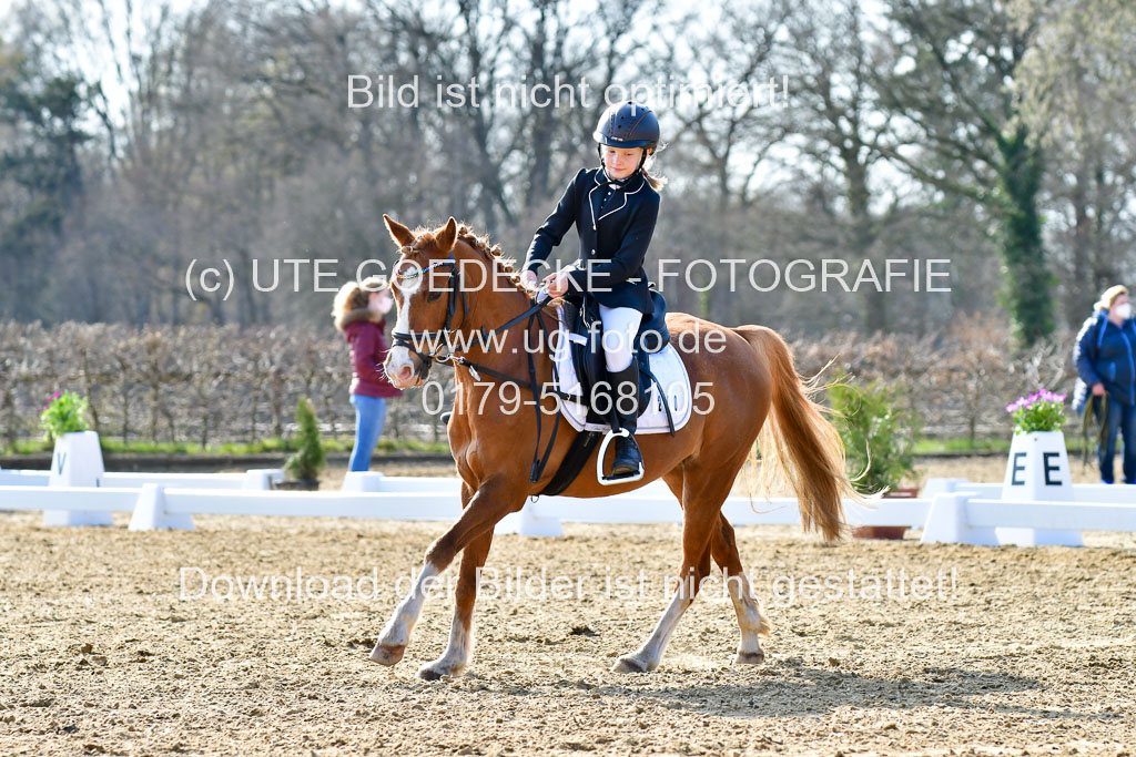 Reitsportzentrum Bremervörde | Reiter WB 1 Abt _085 