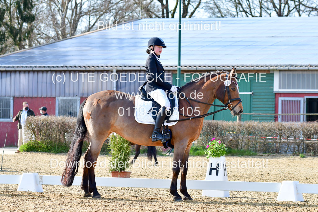 Reitsportzentrum Bremervörde | Reiter WB 1 Abt _094 