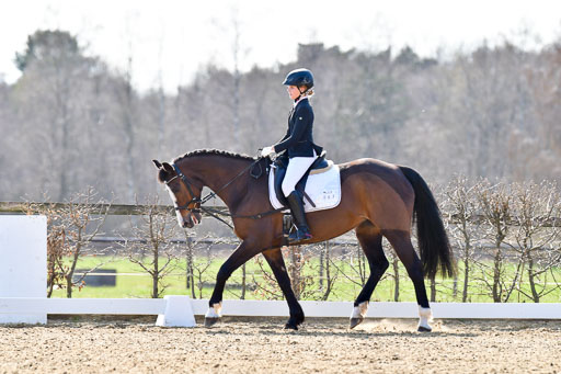 Reitsportzentrum Bremervörde | Reiter WB 1 Abt _016 