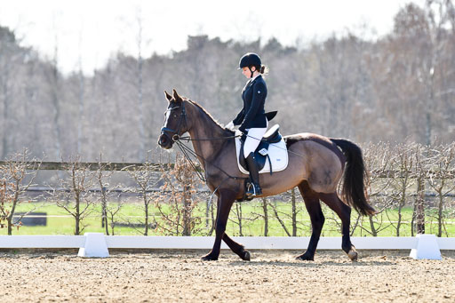 Reitsportzentrum Bremervörde | Reiter WB 1 Abt _017 