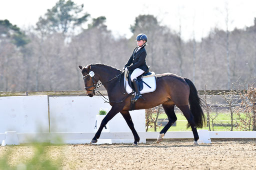 Reitsportzentrum Bremervörde | Reiter WB 1 Abt _021 