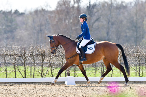 Reitsportzentrum Bremervörde | Reiter WB 1 Abt _025 