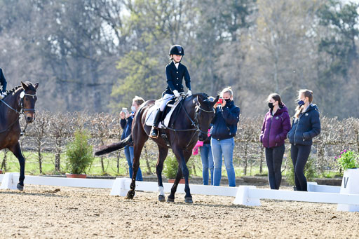 Reitsportzentrum Bremervörde | Reiter WB 1 Abt _026 