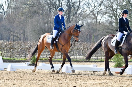 Reitsportzentrum Bremervörde | Reiter WB 1 Abt _030 