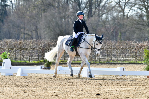 Reitsportzentrum Bremervörde | Reiter WB 1 Abt _031 