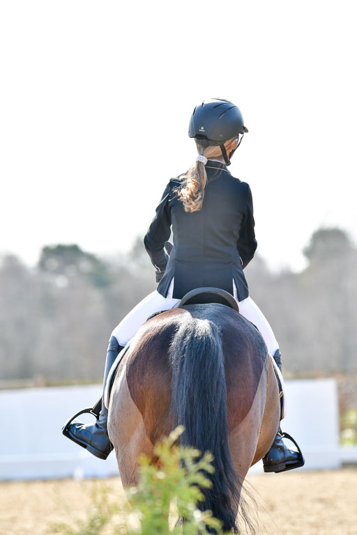 Reitsportzentrum Bremervörde | Reiter WB 1 Abt _040 