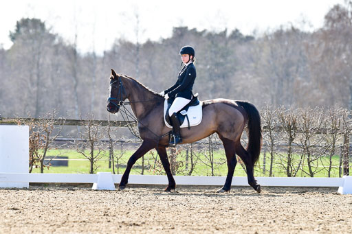 Reitsportzentrum Bremervörde | Reiter WB 1 Abt _050 