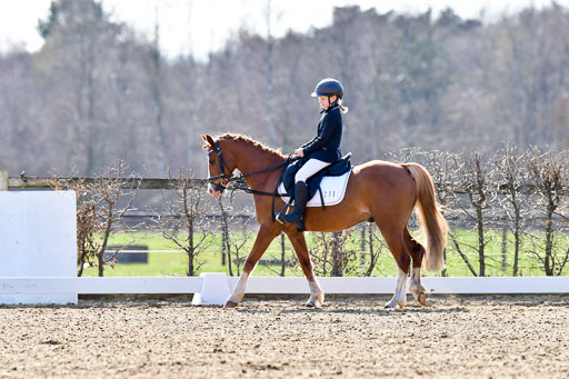 Reitsportzentrum Bremervörde | Reiter WB 1 Abt _053 