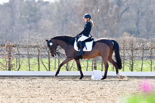 Reitsportzentrum Bremervörde | Reiter WB 1 Abt _054 