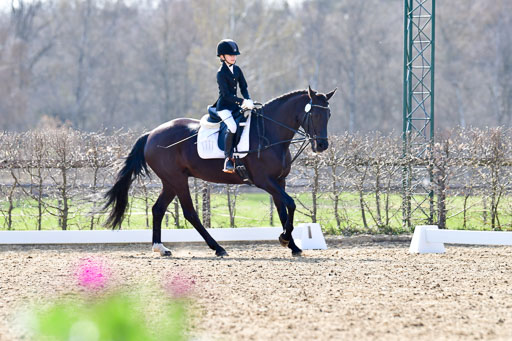 Reitsportzentrum Bremervörde | Reiter WB 1 Abt _055 