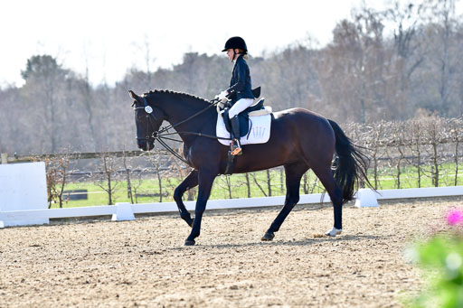 Reitsportzentrum Bremervörde | Reiter WB 1 Abt _056 