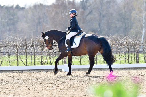 Reitsportzentrum Bremervörde | Reiter WB 1 Abt _057 