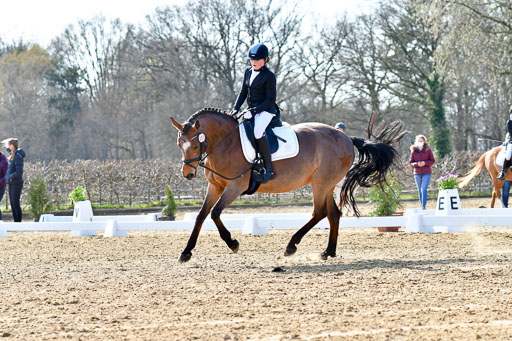Reitsportzentrum Bremervörde | Reiter WB 1 Abt _060 