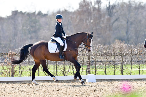 Reitsportzentrum Bremervörde | Reiter WB 1 Abt _062 