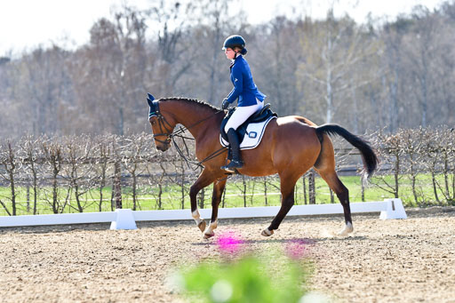 Reitsportzentrum Bremervörde | Reiter WB 1 Abt _070 