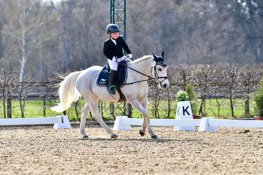 Reitsportzentrum Bremervörde | Reiter WB 1 Abt _080 