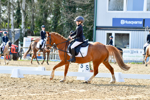 Reitsportzentrum Bremervörde | Reiter WB 1 Abt _083 